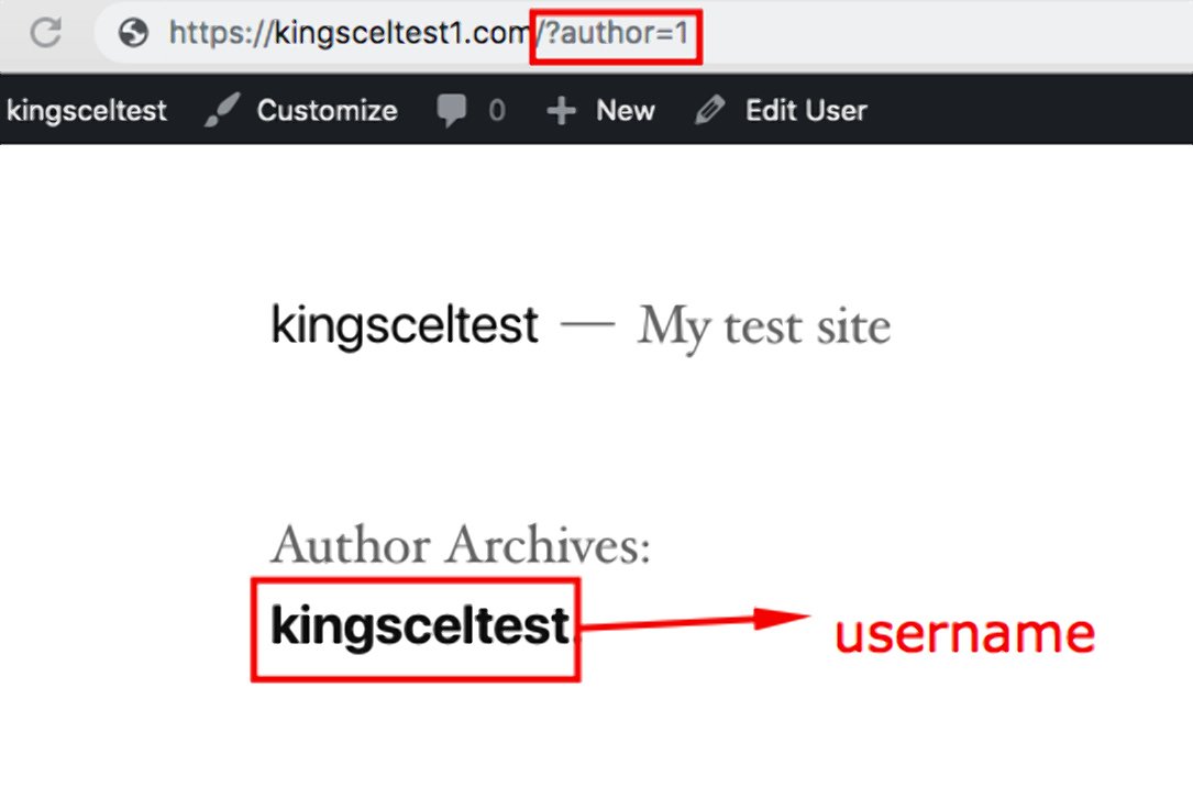 Hide wordpress username