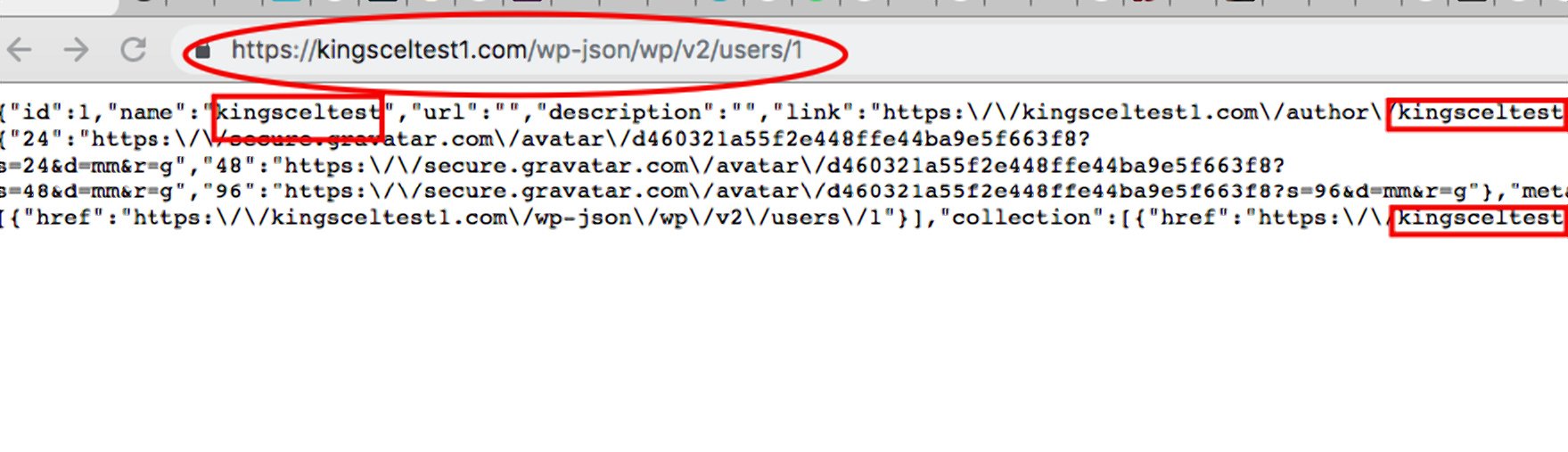 Hide wordpress username